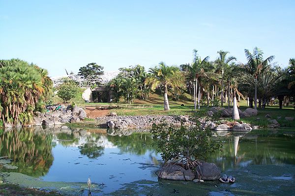 File:Palmetum (Santa Cruz de Tenerife).jpg