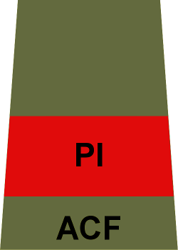 File:ACF Adult Rank Slide PI.png