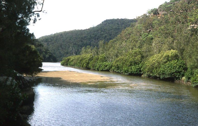 File:Berowra Creek Sydney.jpg