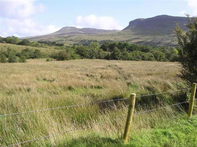 File:Carrownoona Townland - geograph.org.uk - 1482559.jpg