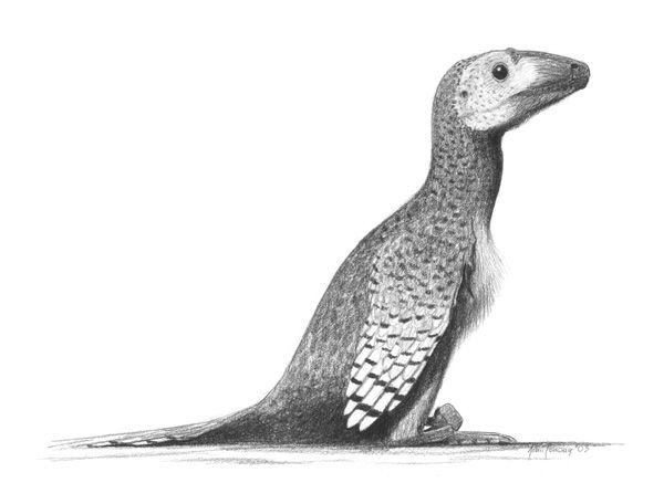 File:Deinonychus-antirrhopus jconway.jpg