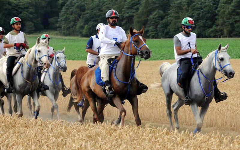 File:Endurance riding.png