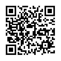 File:GOCEqrcode.png