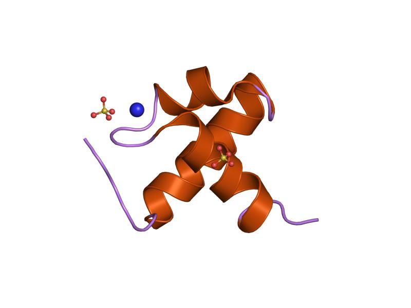 File:PDB 1gvd EBI.jpg