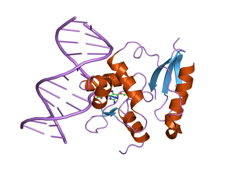 File:PDB 1t38 EBI.jpg