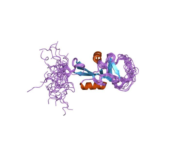 File:PDB 1t8d EBI.jpg