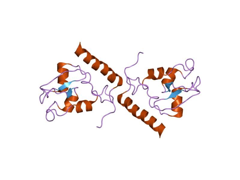 File:PDB 1xox EBI.jpg