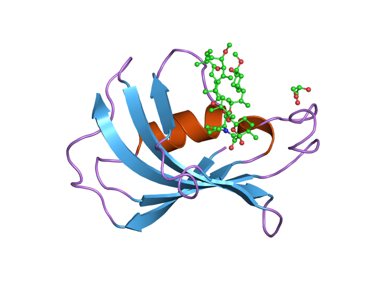 File:PDB 2dg4 EBI.png