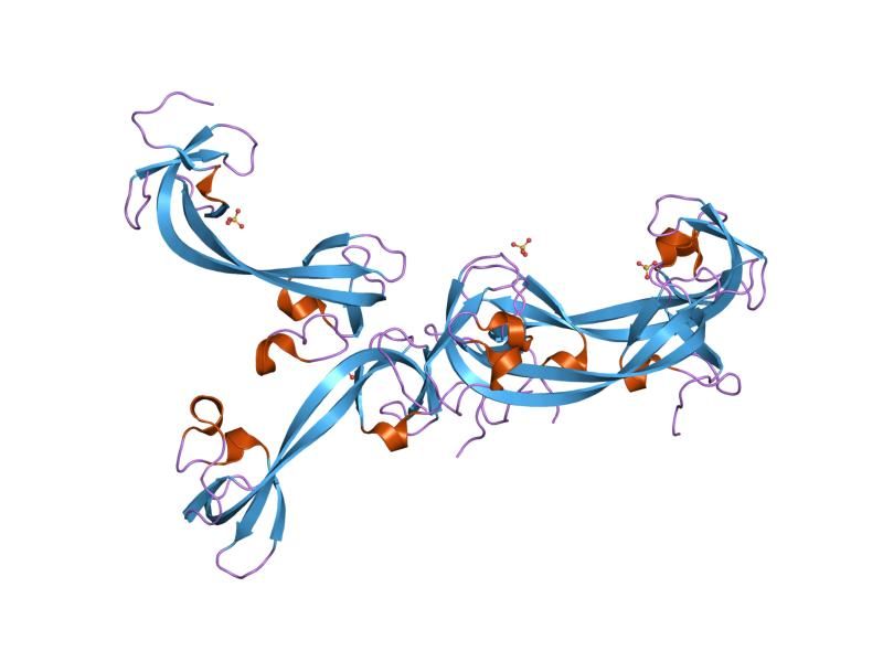 File:PDB 2gf7 EBI.jpg