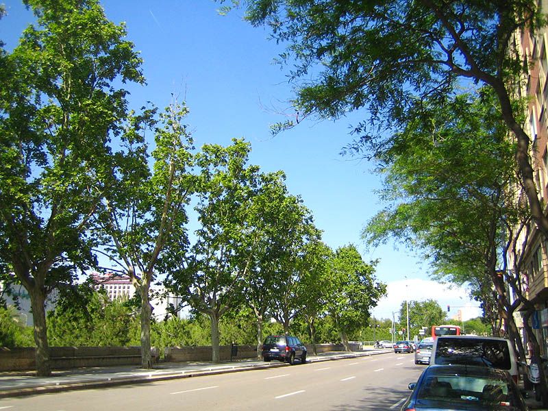 File:Passeig de la petxina.jpg