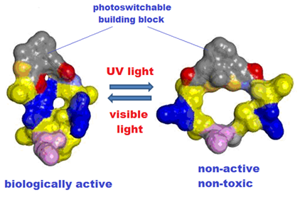 File:Photoactivable peptide cartoon2.png