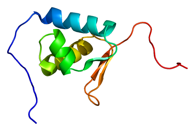 File:Protein COPS4 PDB 1ufm.png