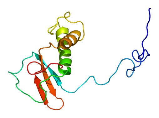 File:Protein POLR2F PDB 1qkl.png