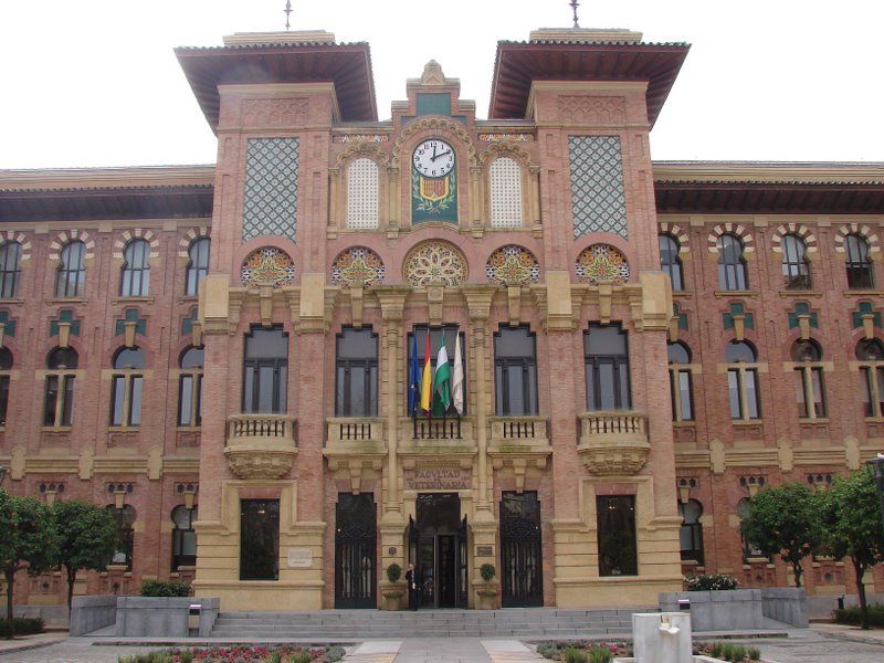 File:Rectorado, Universidad de Córdoba 001.JPG