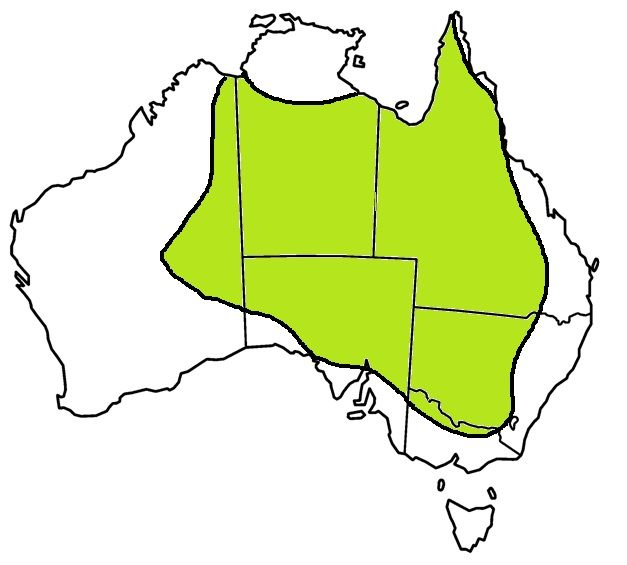 File:Suta suta-Curl Snake Distribution map.jpg