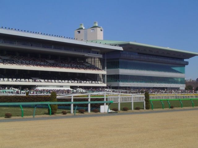 File:Tokyo Racecourse 2.jpg