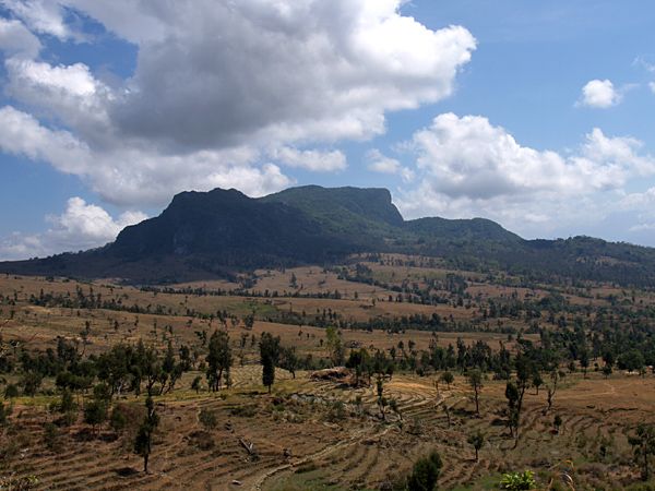 File:Viqueque rice field.jpg