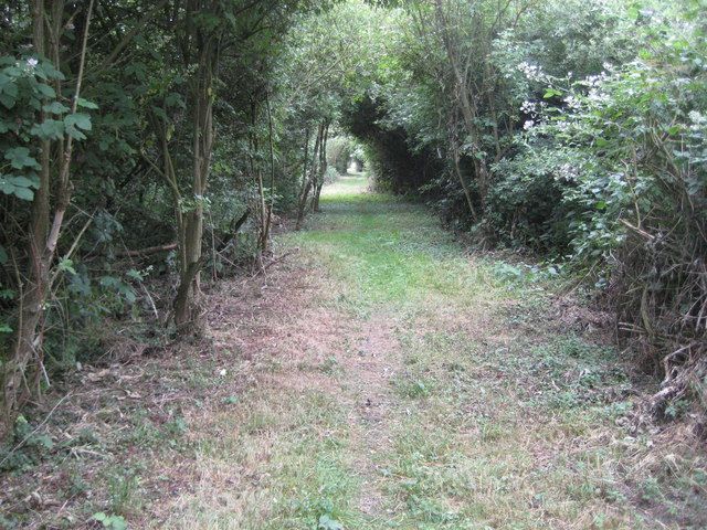 File:Yeoveney Halt railway station.jpg