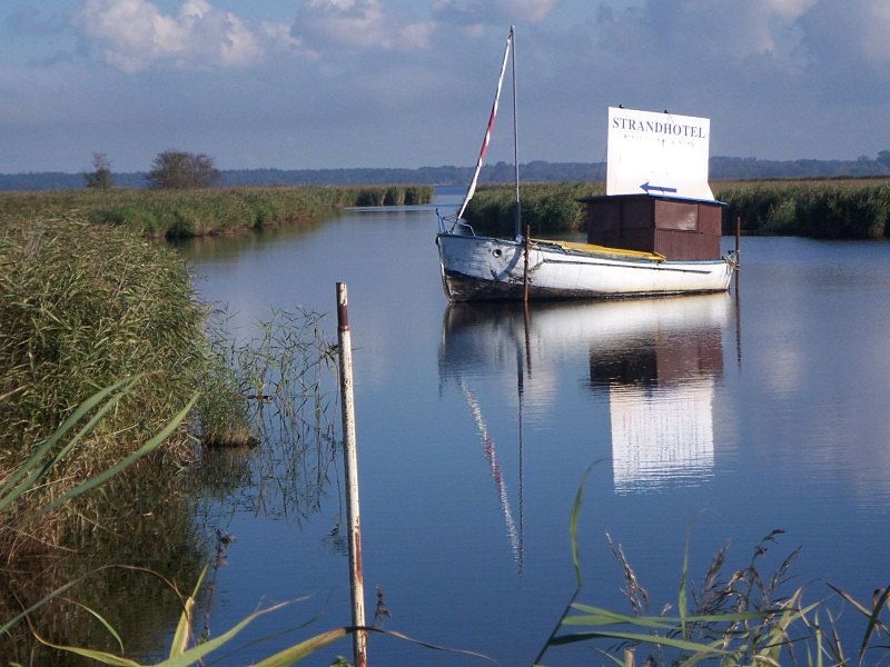 File:Am Saaler Bodden.JPG