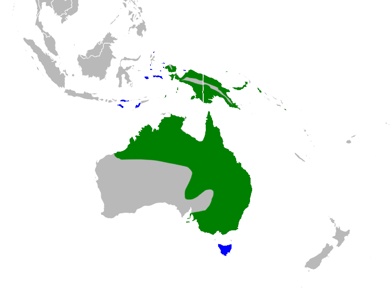 File:Ardea plumifera range.png