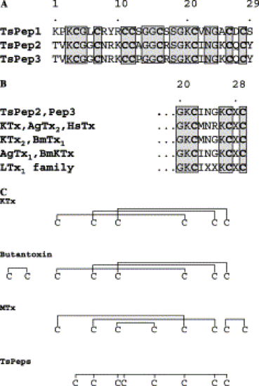 File:Figure 2. Pimenta et al. (2003).png