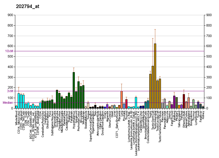 File:PBB GE INPP1 202794 at fs.png