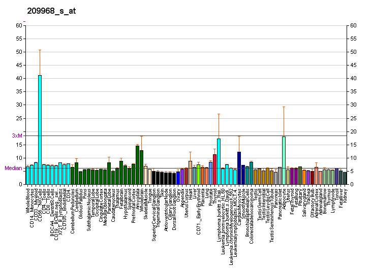 File:PBB GE NCAM1 209968 s at fs.png