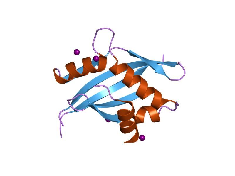 File:PDB 1oj5 EBI.jpg