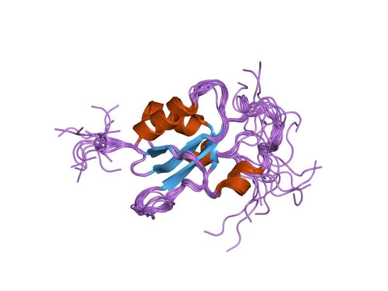 File:PDB 1oqa EBI.jpg