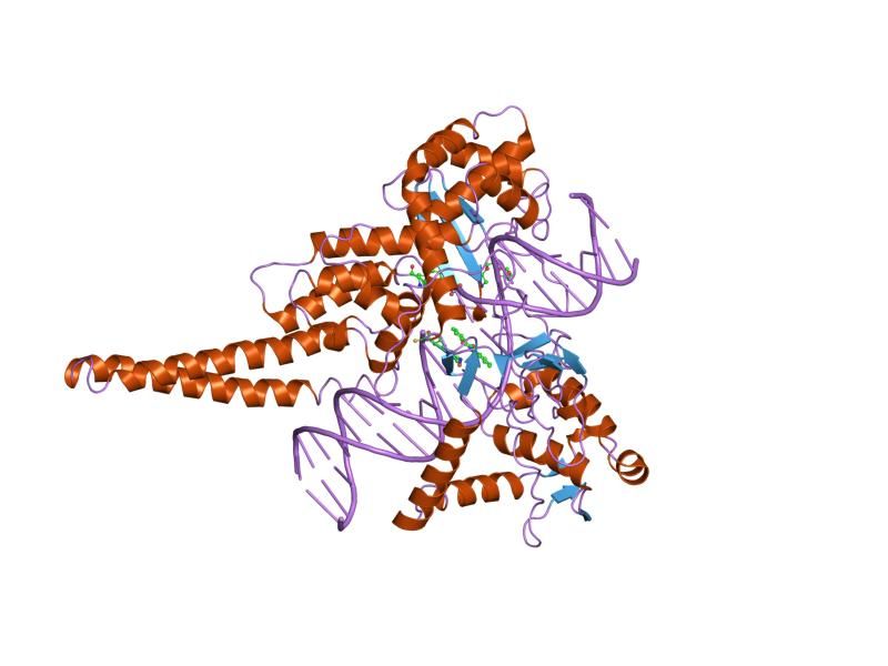 File:PDB 1sc7 EBI.jpg