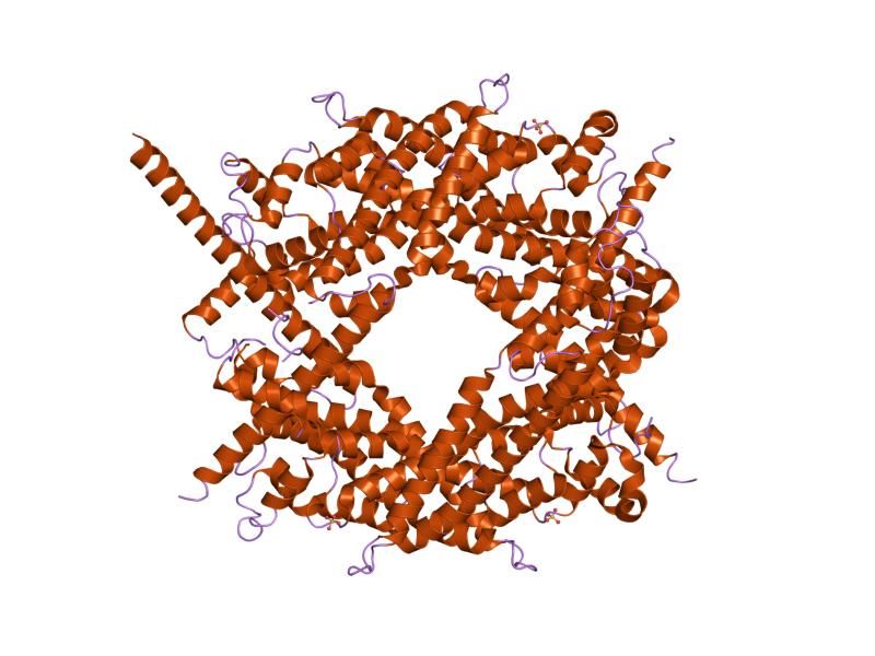 File:PDB 1v9d EBI.jpg