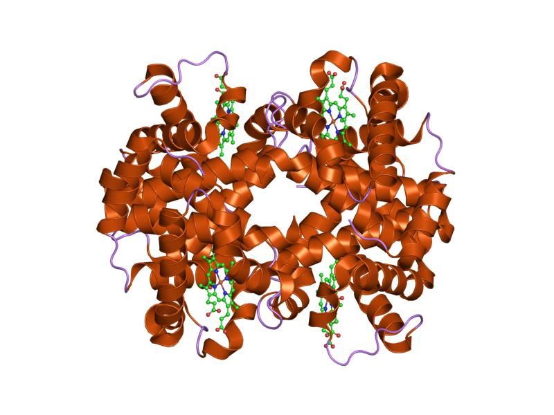 File:PDB 1yvq EBI.jpg