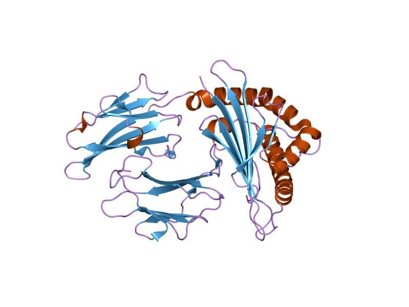 File:PDB 1zhk EBI.jpg