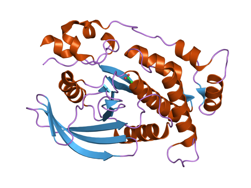 File:PDB 2c7s EBI.png