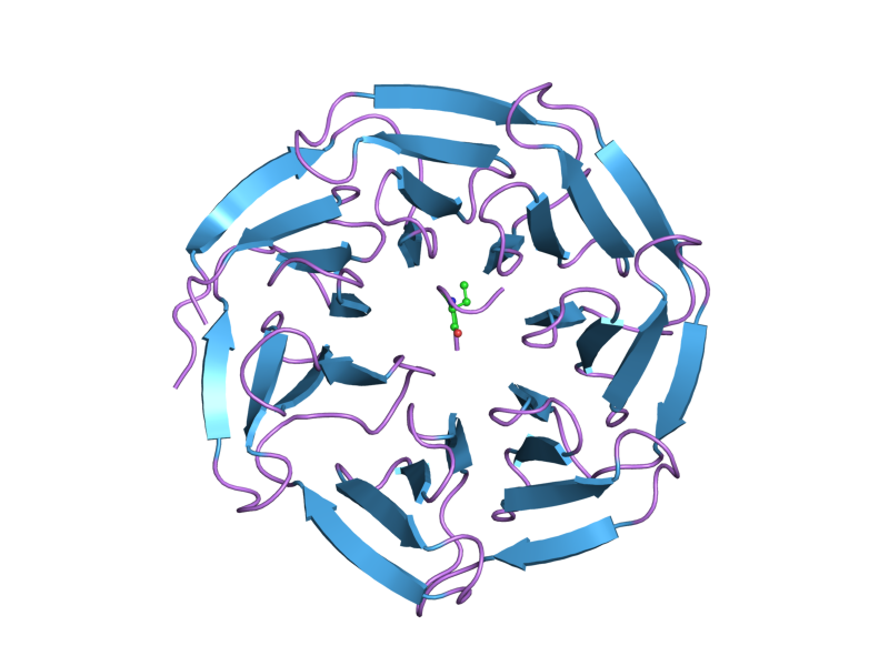 File:PDB 2h13 EBI.png