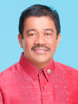 File:Rep. Carlos Isagani Zarate (18th Congress PH).jpg