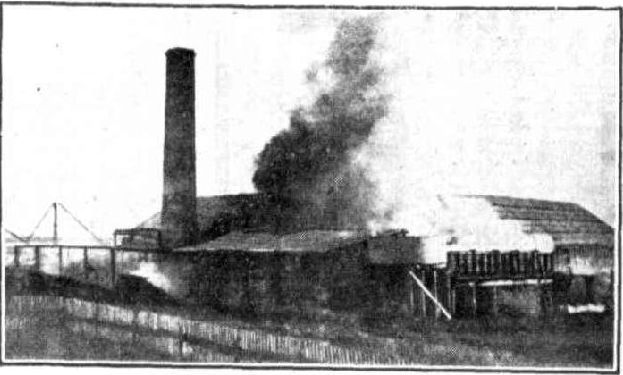 File:Skyring's Mill Fire, Gladstone, 1930.JPG