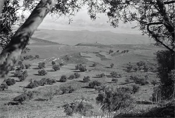 File:קדש נפתלי - מראה אדמת קדש נפתלי-JNF034355.jpeg