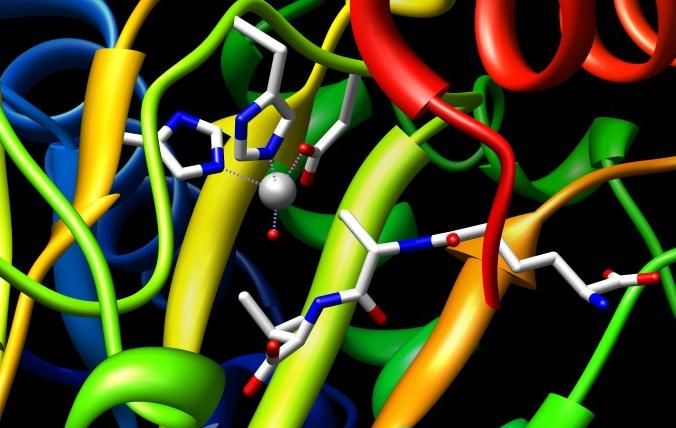 File:ACTIVE SITE Isopenicillin-N synthase.JPG