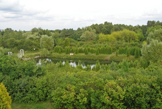 File:Berezne park1.jpg