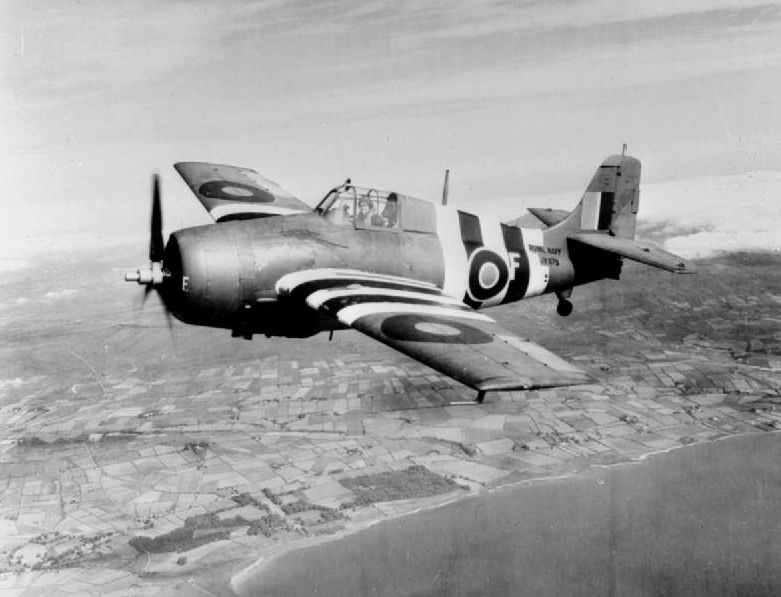 File:Fleet Air Arm Grumman Wildcat.jpg