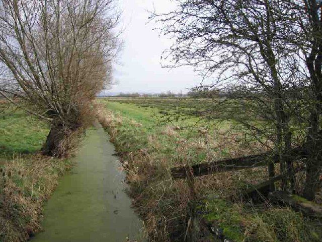 File:Glastonbury lake village.jpg