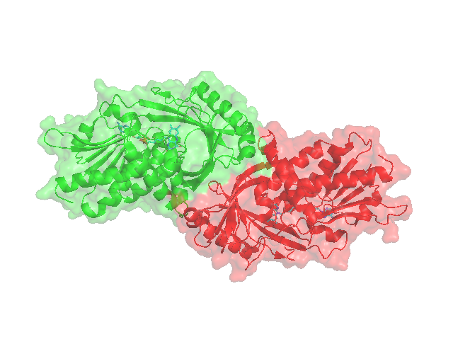 File:HDAAO Head-to-Head Connection.png