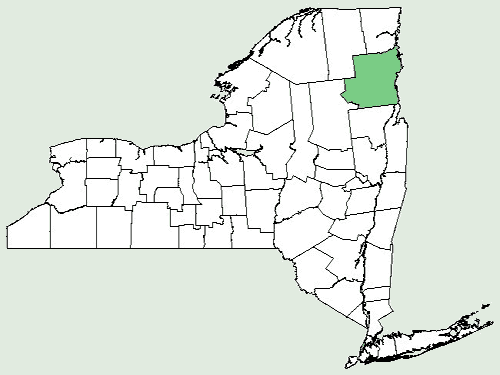 File:Orobanche minor NY-dist-map.png