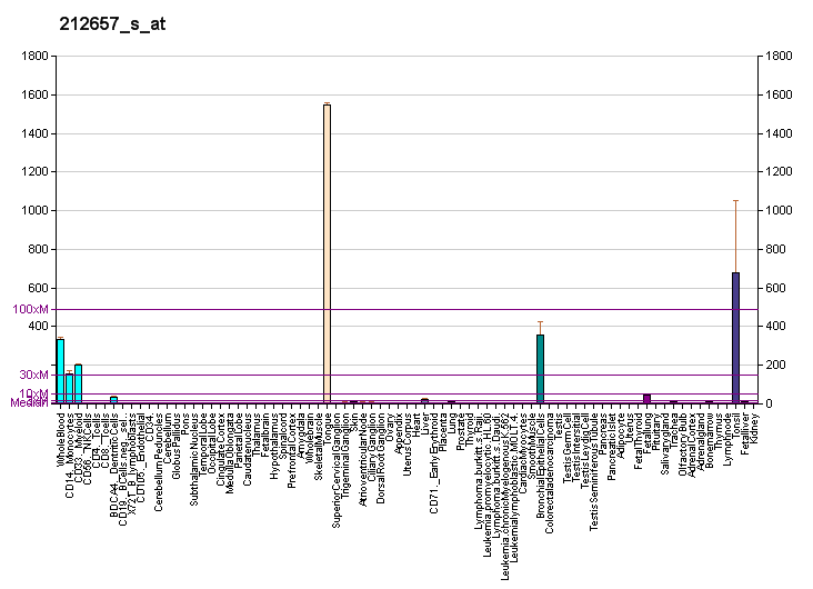 File:PBB GE IL1RN 212657 s at fs.png