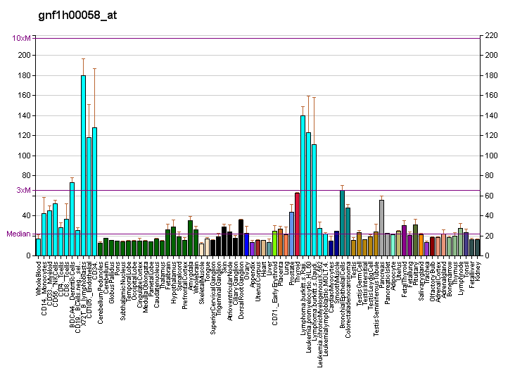 File:PBB GE SCO1 gnf1h00058 at fs.png