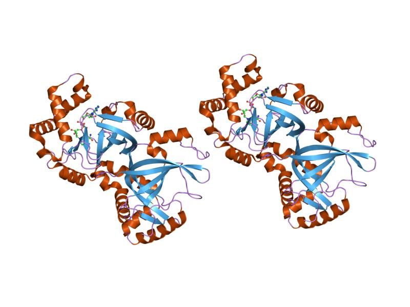 File:PDB 1giq EBI.jpg