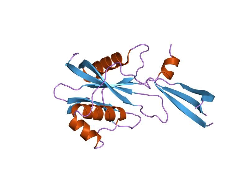 File:PDB 1mp2 EBI.jpg