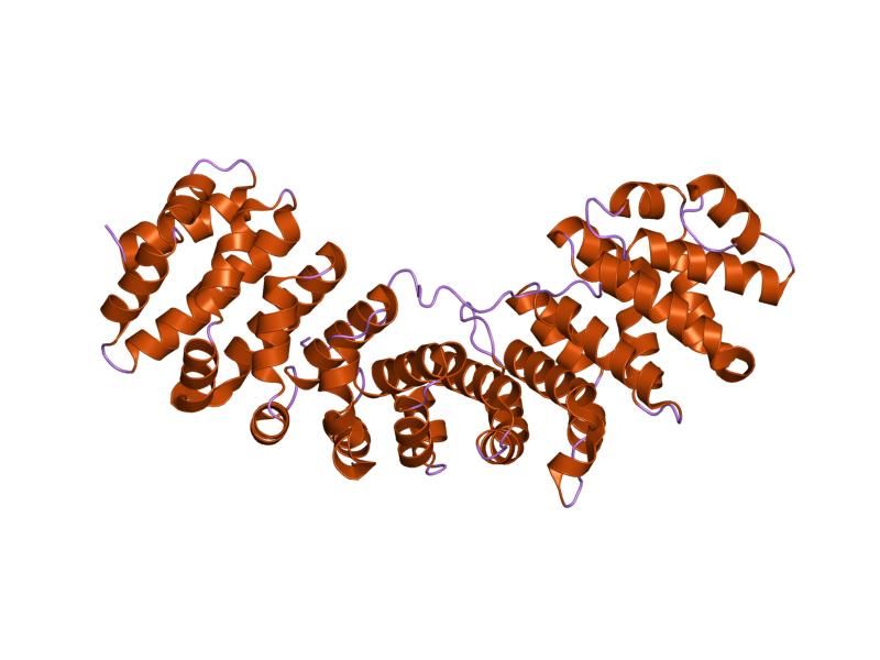 File:PDB 1pjn EBI.jpg