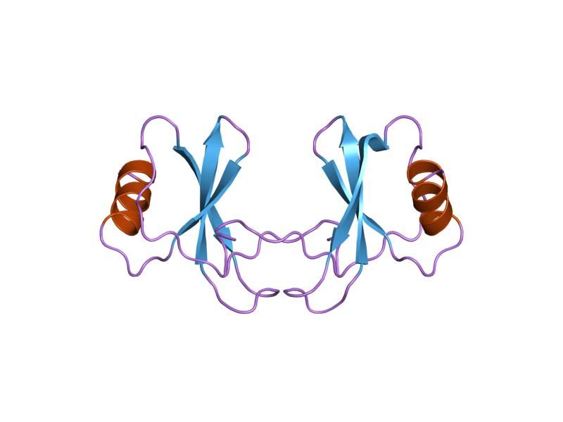 File:PDB 1rto EBI.jpg